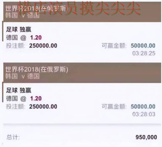 世界杯投注平台推荐趋势解读合集：覆盖玩法指南+直播与入口方式 - 世界杯实时直播